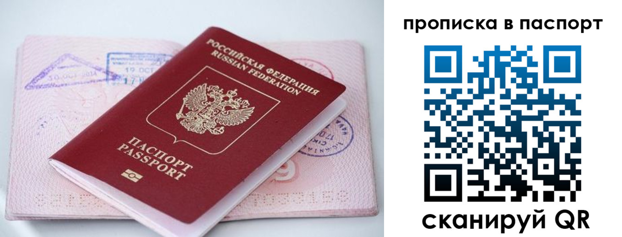 временная регистрация поиск в Одинцово