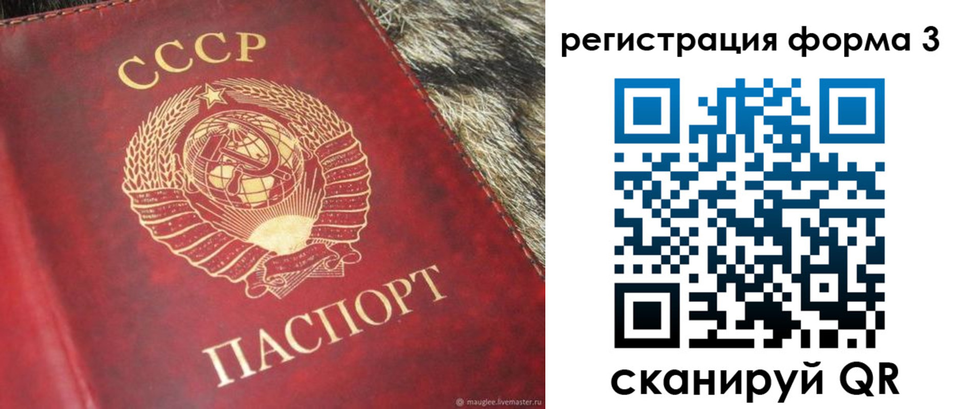 временная прописка в Одинцово